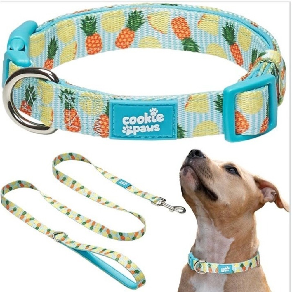 Pineapple Blue Dog Collar Leash‎ Set for Large Dogs Soft Neoprene Padded